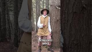 From Romans to the Frontier | Importance of the Saw Mill | Origins of Kelly Station