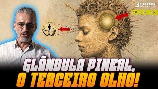 Os segredos da glândula pineal, o enigmático órgão do corpo humano cercado de teorias