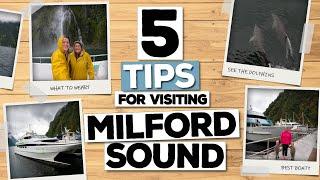 5 Tips For Visiting Milford Sound