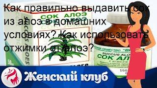 Как правильно выдавить сок из алоэ в домашних условиях? Как использовать отжимки от алоэ?