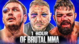 1 Hour Of Knockouts & Brutal MMA Moments