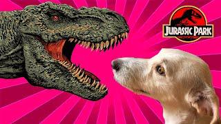 My Dog react to Jurassic Park