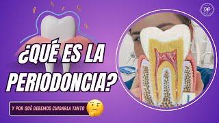 QUÉ ES LA PERIODONCIA  | TECH Universidad Tecnológica 