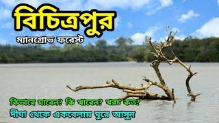 Bichitrapur Mangrove Sanctuary | Digha Tour | বিচিত্রপুর | Digha Bichitrapur | Bichitrapur Tour