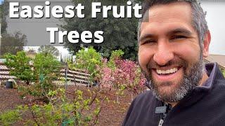 The 2 Easiest Fruit Trees for Beginners To Grow. Yes, Really! | BONUS: The Hardest Tree