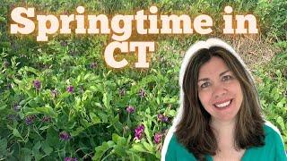 Ever Wonder What Springtime is like in Connecticut?  Watch My Video to Get the Truth