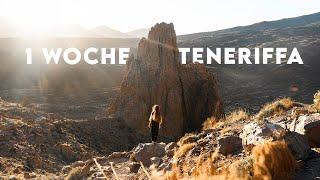 1 Woche TENERIFFA - BESSER als MADEIRA? 