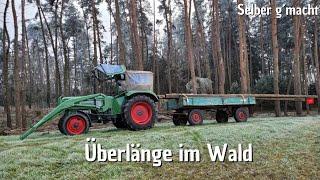 Fendt Farmer with extra length | Forestry chains on the trailer