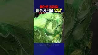 돌아온 김장철 배추 가격은 '안정'