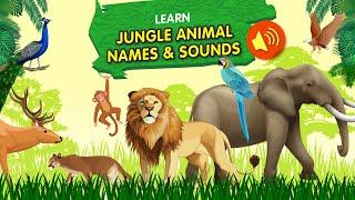 Learn Animal Names & Sounds | Jungle Animal Edition