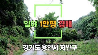 [부동산경매] 용인시 임야 1만평 공매