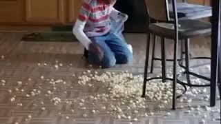 Kid drops popcorn