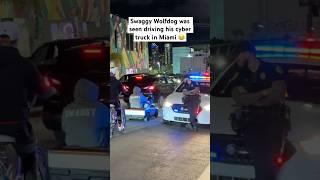 Dog drives cyber truck in front of police  #tesla #cybertruck #dog #miami #estadosunidos