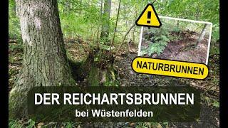 Der versteckte Reichartsbrunnen | Abenteuer bei Wüstenfelden