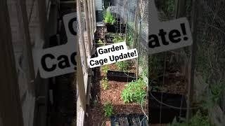 Garden Cage Update | Shorts