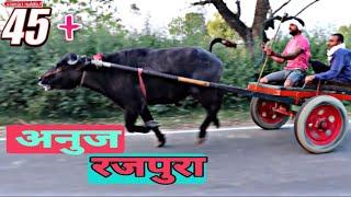 jhota race || Anuj Rajpura|| 4 daat lwara || 5 km || Part 1 .|| Running highway || 45 + meter