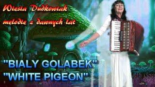 Wiesia - Melodie z dawnych lat - BIAŁY GOŁĄBEK WHITE PIGEON