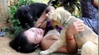 18x+ Beautiful girl Play with smart and cute dog and discover life Part 5