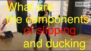 What are the components of slipping and ducking