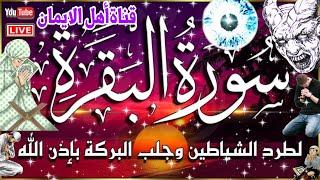 سورة البقرة كاملة مكررة لطرد الشياطين والجن والسحر والحسد وجلب الرزق والبركة والتحصين surat albaqara