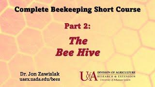 Part 2: The Beehive