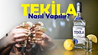 Tekila Nasıl Yapılır?