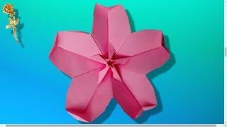 Origami :  Sakura, fleur de cerisier