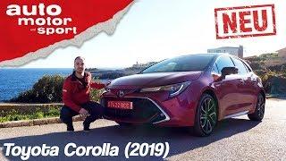 Toyota Corolla (2019): Das Mittel gegen Golf-Langeweile? – Review/Fahrbericht | auto motor & sport