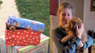 Christmas Puppy Surprise 2021 - Kids getting Puppy as a Christmas Present