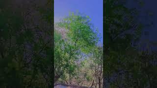 #song South song aadikal surprise