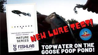 Topwater Bass Fishing with FishLab Nature Series Flippin' Frog