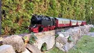 NWE 21 on tour auf der schöne Gartenbahn