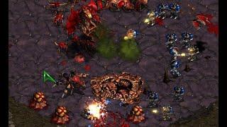 FLASH IS BACK! RECENT MATCH vs JAEDONG! on Polypoid - StarCraft - Brood War - 2023