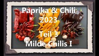 Paprika & Chili 2023 Teil 3 - Milde Chilis I