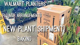 Walmarts NEW Planters & Houseplants! Mother's Day Vlog! | Plant Shopping w/ Plant Chores
