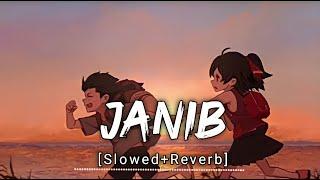 JANIB [Slowed+Reverb] - Arijit Singh ,SUNIDHI CHAUHAN | Music Zone | Textaudio