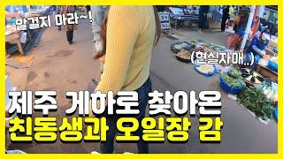 너무나도 다른 현실 자매의 티격태격 제주오일장 나들이  제주 게하 스텝 ep.6 I 혀니뭐하니