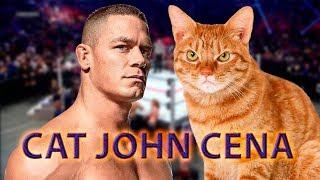 cats jumping on peoples heads! with John Cena music! so funny! try not to laugh!