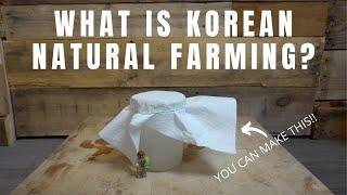 Simple, DIY Korean Natural Farming for Beginners