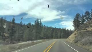 Driving Down HWY 38 In San Gorgonio