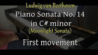 L. v. Beethoven - Moonlight sonata - First movement. Pianist Andrea Basile