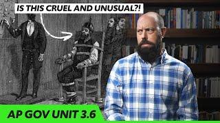 Individual FREEDOM vs. PUBLIC SAFETY: 2nd, 4th, 8th Amendments [AP Gov Review, Unit 3 Topic 6 (3.6)]