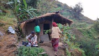 This is Himalayan Hari Rokaya Family Nepali Village Lifestyle | organic Food Cooking in Countryside