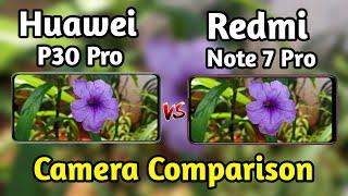 Huawei P30 Pro VS Redmi Note 7 Pro Camera Test Comparison|Huawei P30 Pro Review|Note 7 Pro Overview|