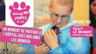 Mini Pattes et Cie - Tout le monde contre le cancer