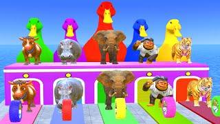 5 Giant Duck Cartoon,Cow,Elephant,Tiger,Lion,Gorilla, Paint Wild Animals Crossing Fountain Animation