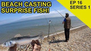 Beach Fishing Species Hunt: Chasing Scales Species Hunt  (EPISODE 16)