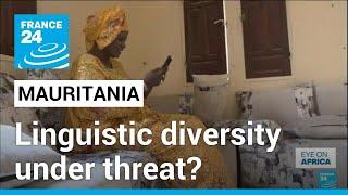 Mauritania elections: Linguistic diversity under threat? • FRANCE 24 English