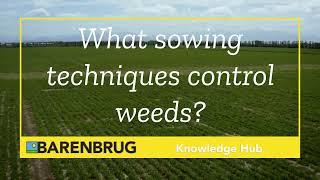 08. Knowledge hub - What sowing techniques control weeds?