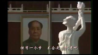 自由花—六四30周年（00后学生纪念制作）